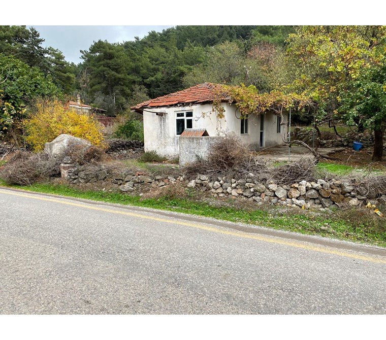 MÜJGAN EMLAKTAN SÖĞÜTTE SATILIK TARLA