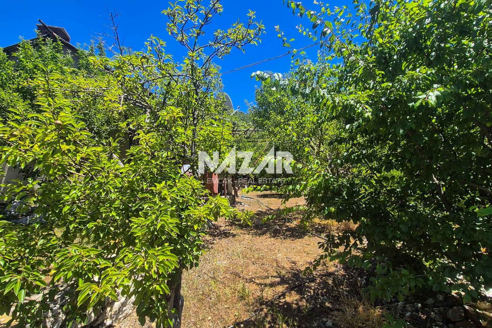 Alanya Gödüre Yaylası’nda Satılık 1+1 Müstakil Yayla Evi | 60 m² · 13