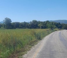 MUĞLA KÖYCEĞİZ TOPARLAR MH 14530M2 KÖYİÇİ TARLA