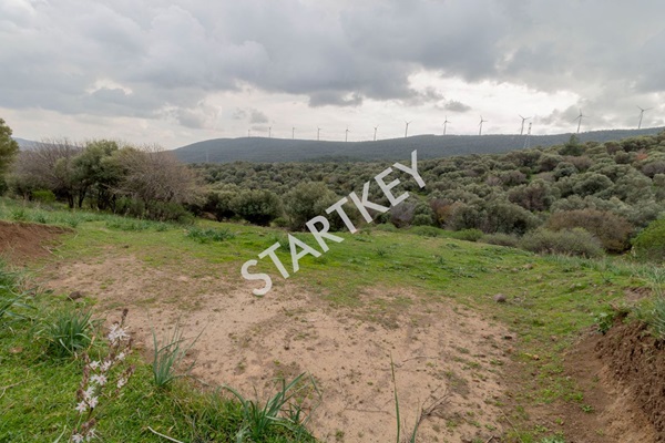 Property-photo