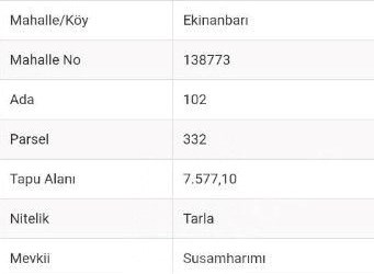 MİLAS BODRUM HAVALİMANİNA YAKIN SATILIK YATIRIMLIK ARAZİ