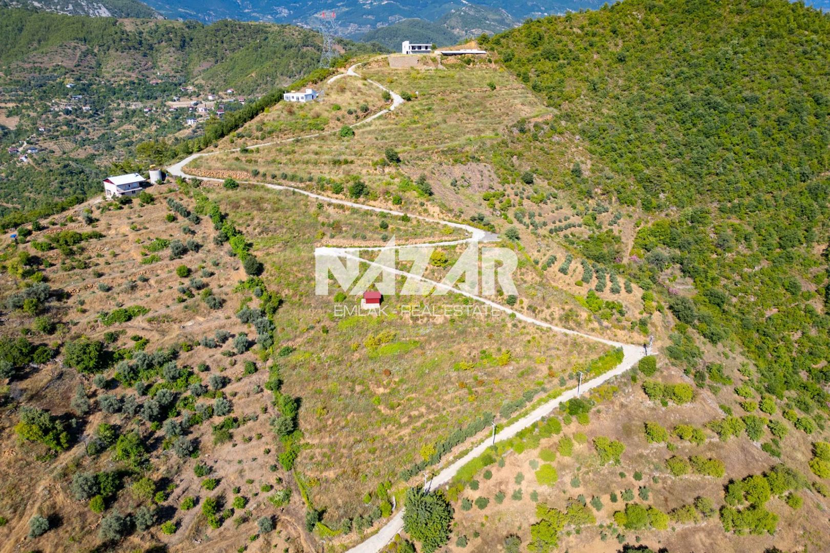 Property-photo