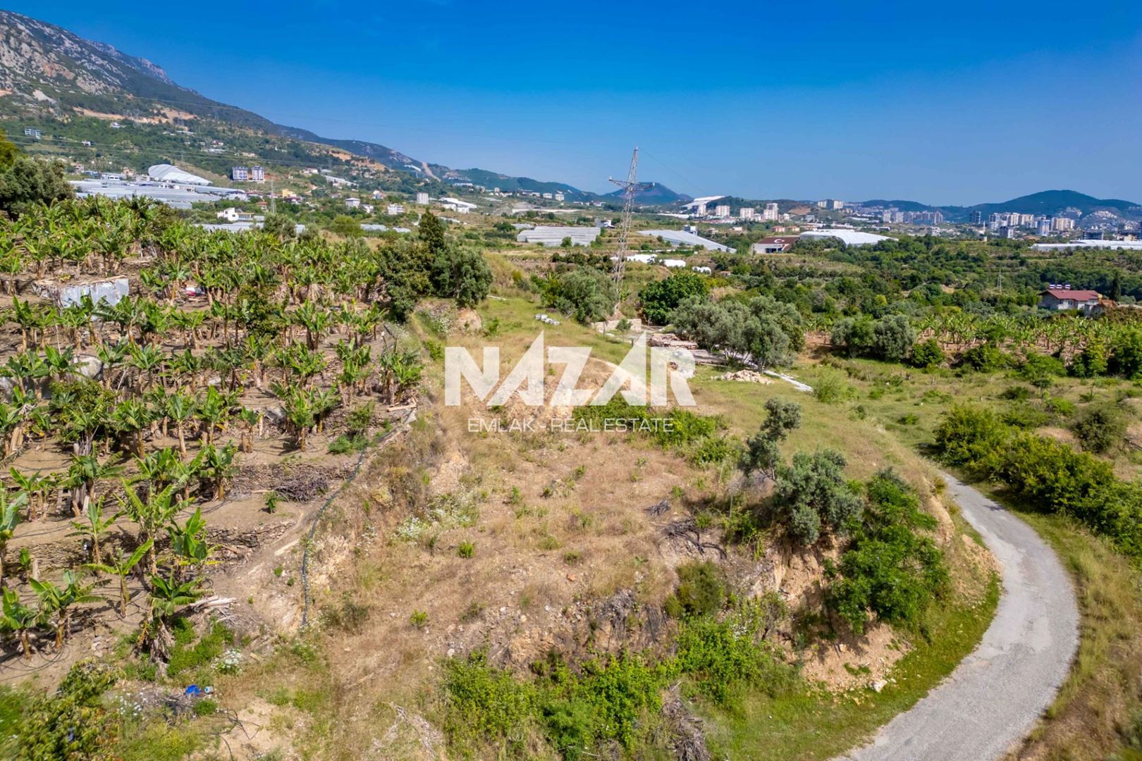 Property-photo