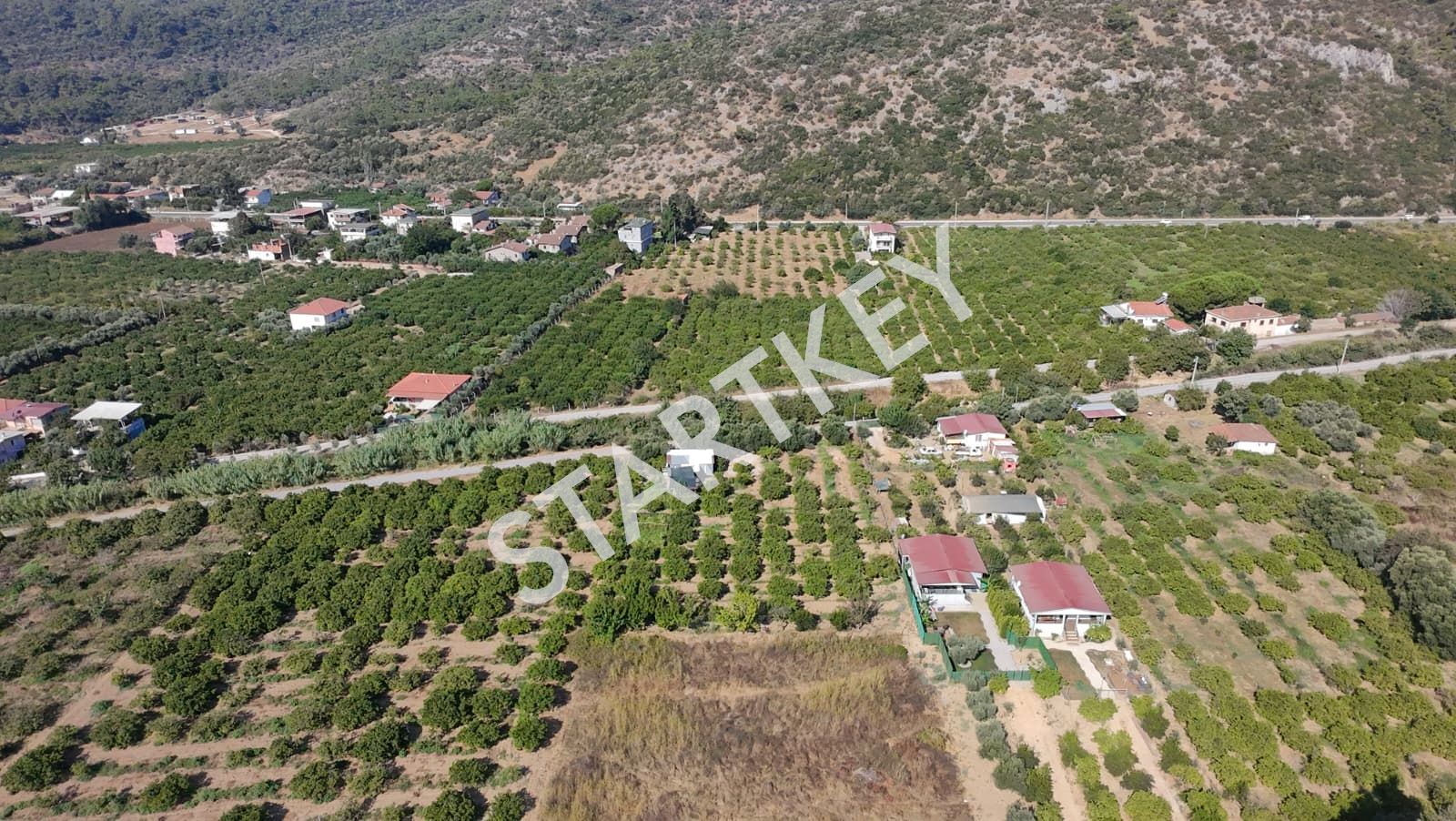 Property-photo