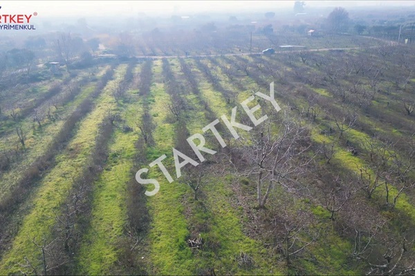 Property-photo