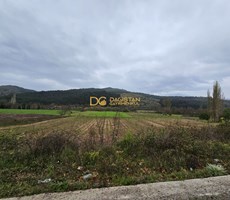 Asosta 3900 m2 Zeytinlik