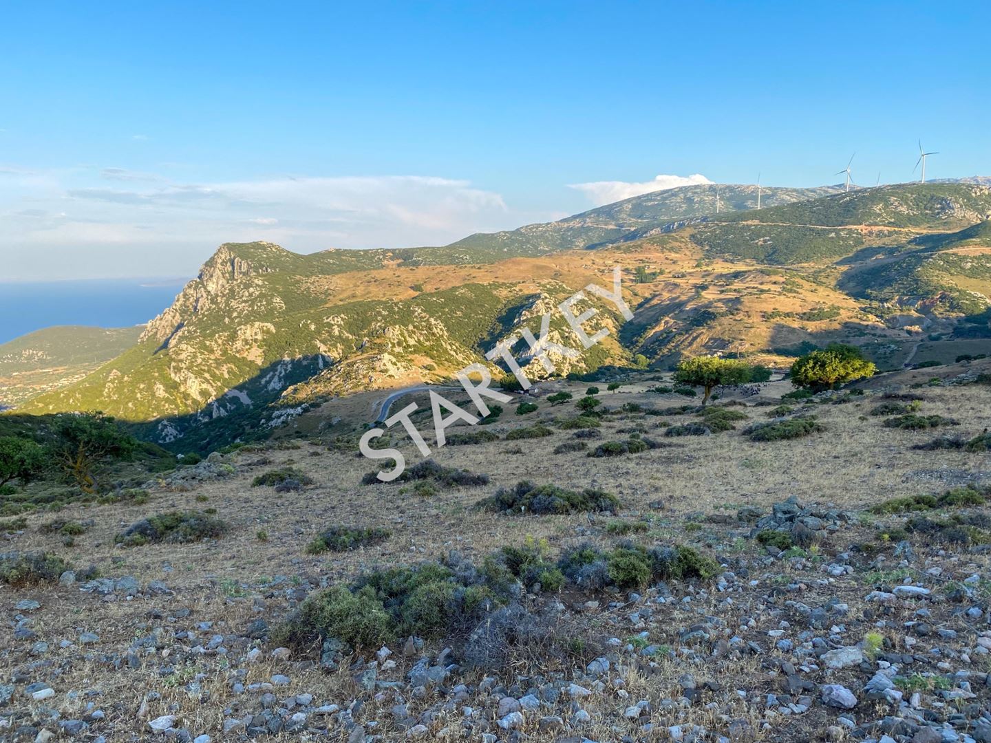 Property-photo