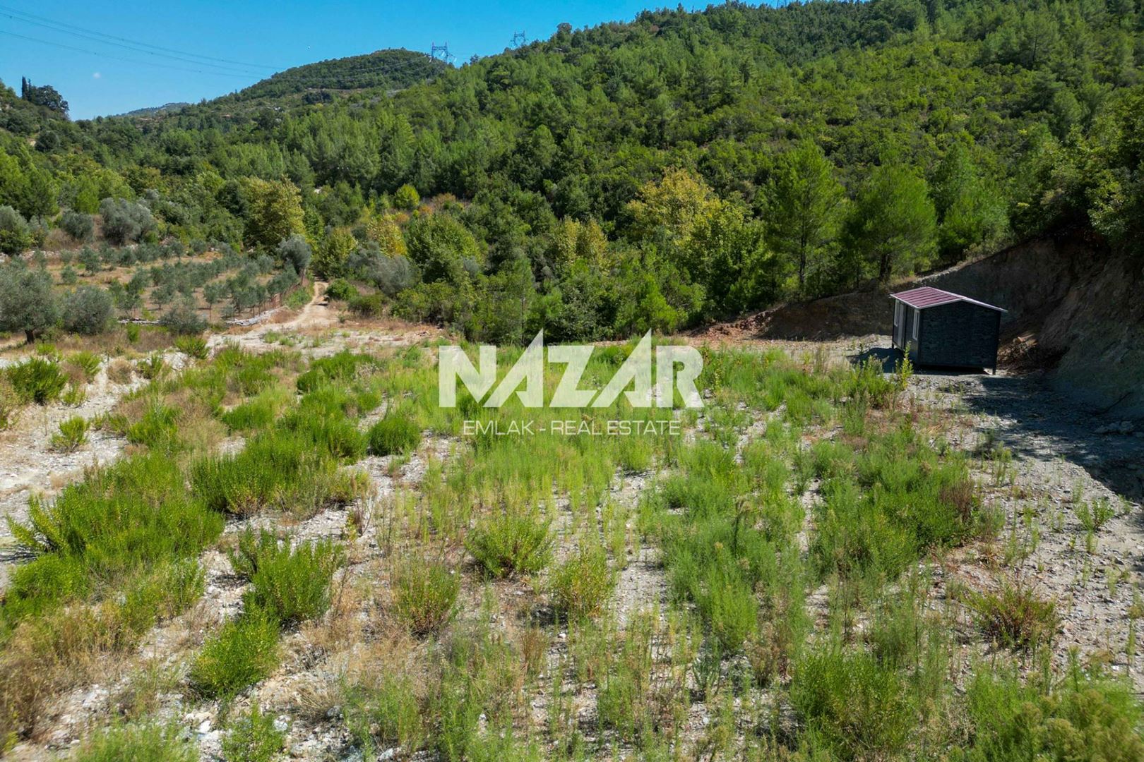 Property-photo