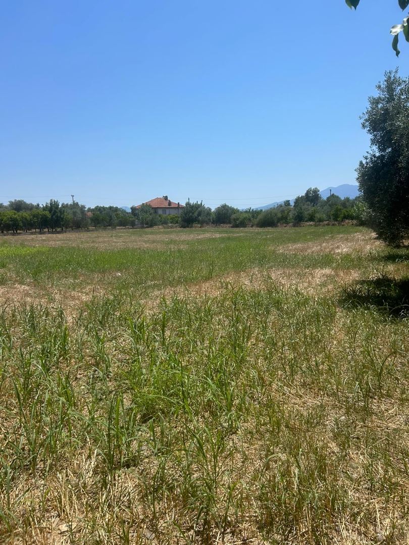 Property-photo