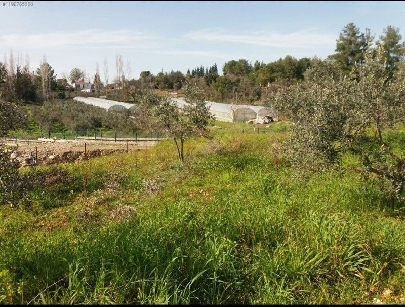 Property-photo