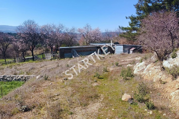 Property-photo