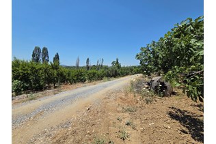 property-1