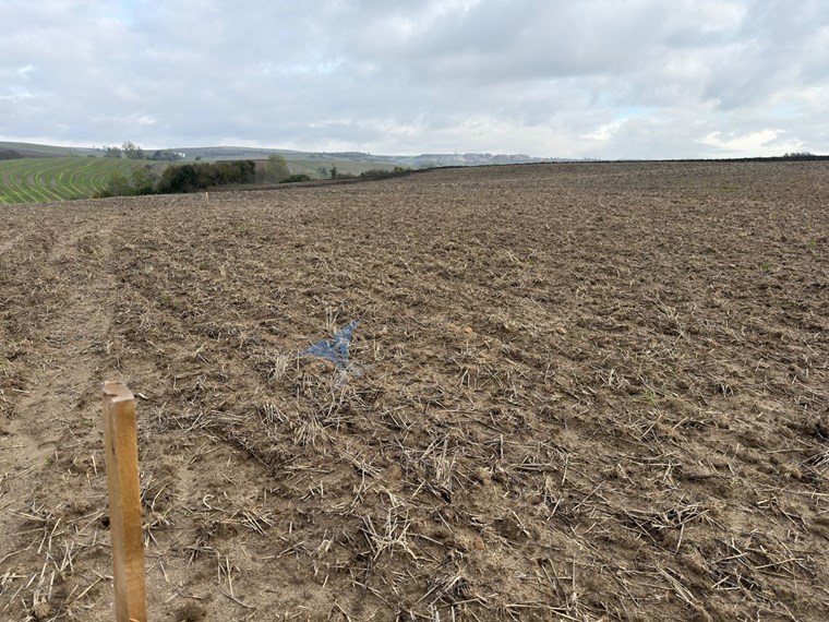 TEKIRDAĞ SÜLEYMANPAŞA OSMANLI KÖYÜ’NDE 89.240 M² SATILIK TARLA