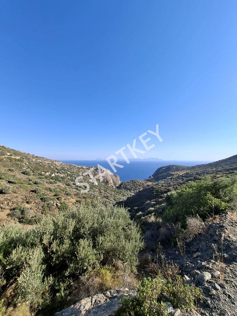 Datça Yazı Mah. Deniz Manzaralı Tarla — kare 2