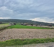 Aliağa Çaltılıdere'de 45mt Yol Cepheli 17 Dönüm Satılık Tarla