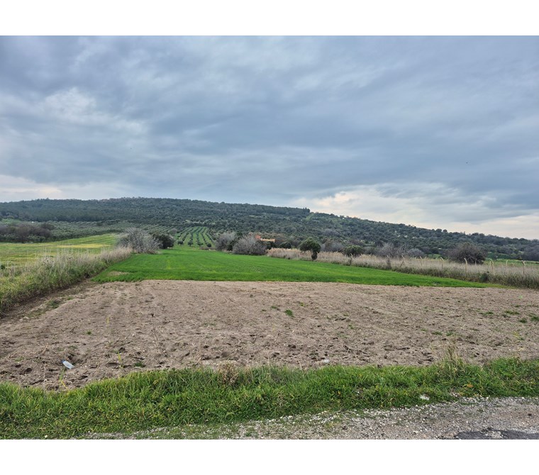 Aliağa Çaltılıdere'de 45mt Yol Cepheli 17 Dönüm Satılık Tarla