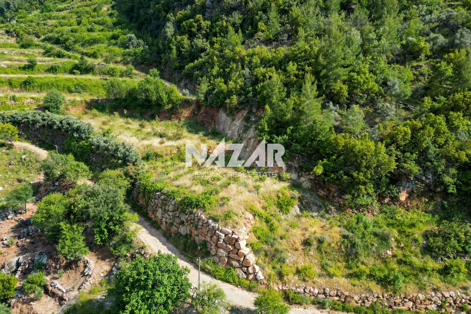 Property-photo