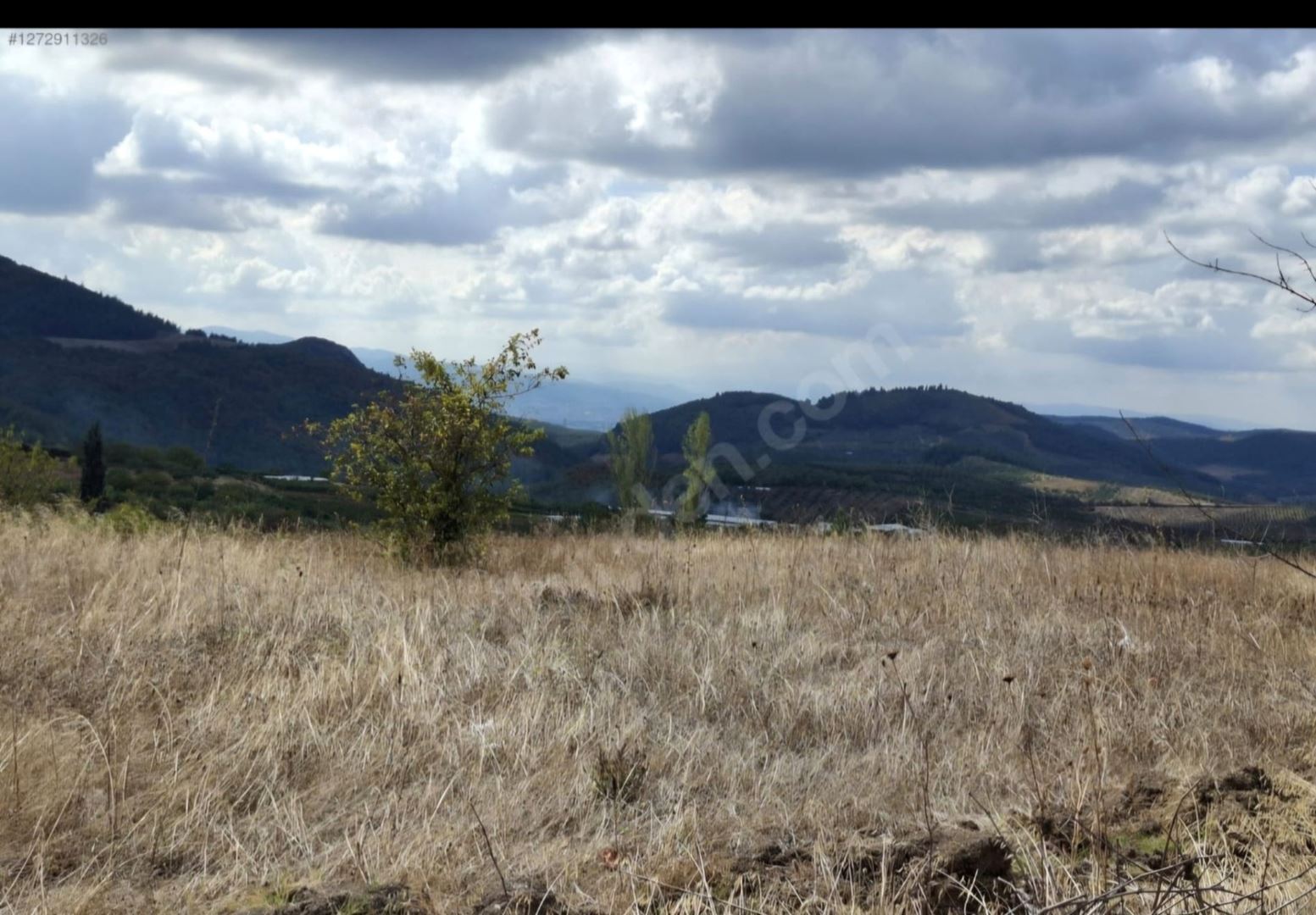 Property-photo