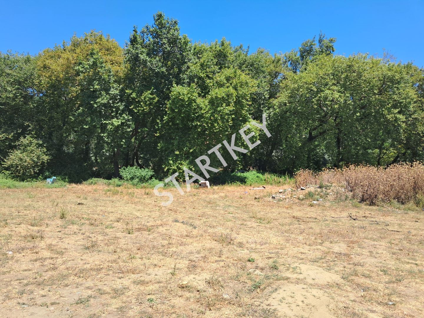Property-photo