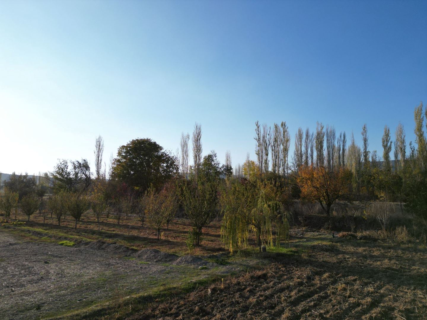 Property-photo