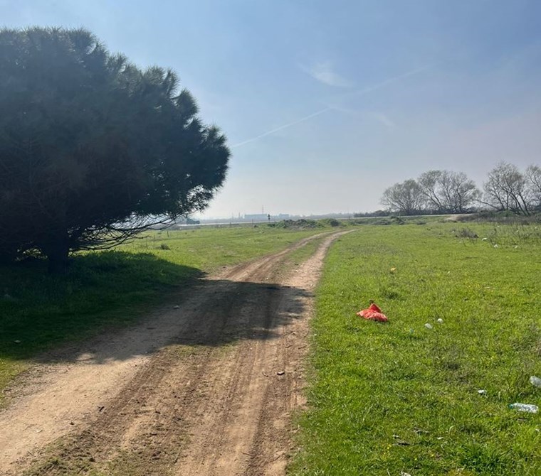 BALIKESİR ERDEK Aşağıyapıcı Mahallesi Dervent Mevkii SATILIK Arsa (Bağ ve Zeytinlik)