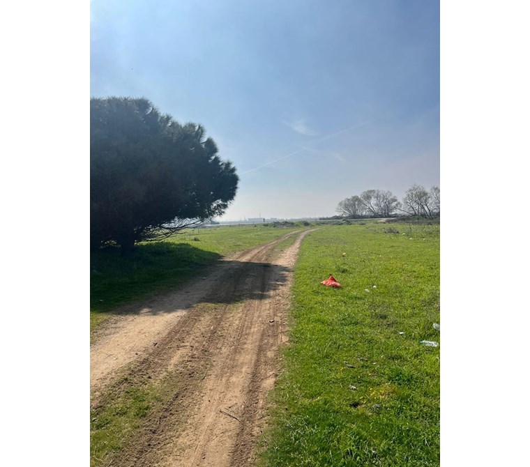 BALIKESİR ERDEK Aşağıyapıcı Mahallesi Dervent Mevkii SATILIK Arsa (Bağ ve Zeytinlik)