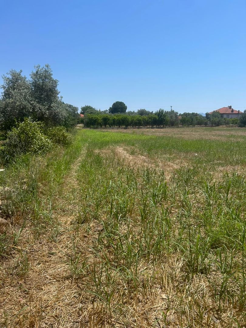 Property-photo