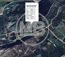DİDİM AKYENİKÖY BOZSEKİ MEVKİ 326 M2 YATIRIMLIK ARSA