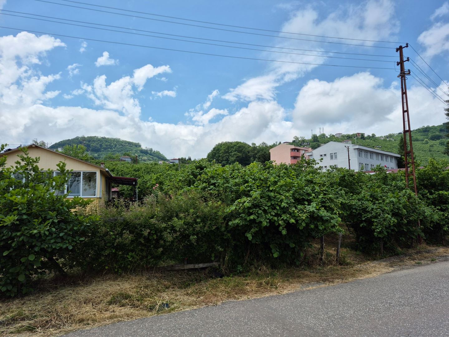 Property-photo