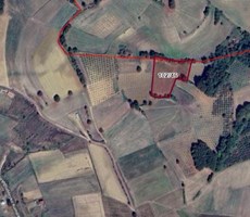 KANDIRA MÜLKÜŞEHSUVAR KÖYÜ 4.821 M² SATILIK TARLA