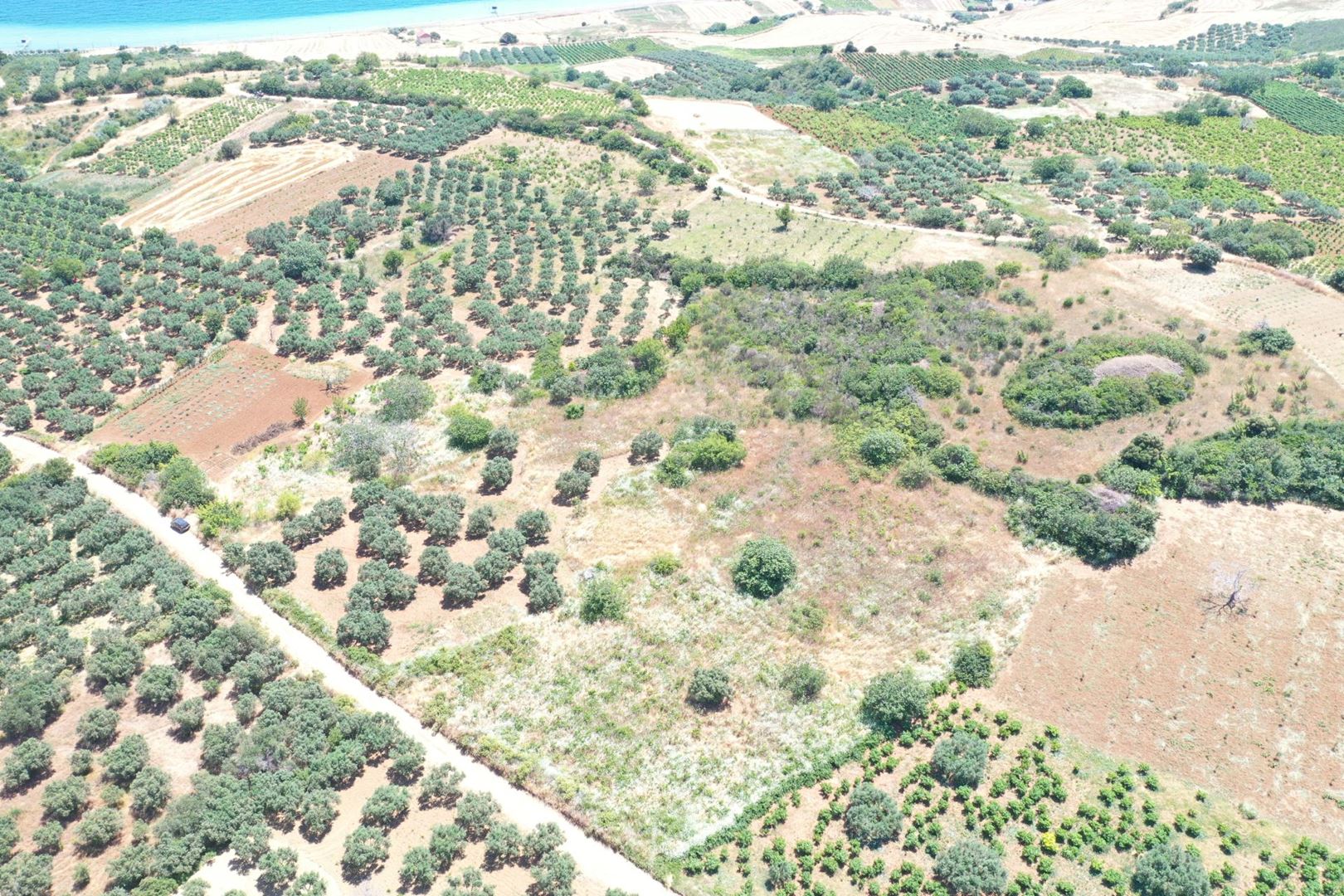Property-photo