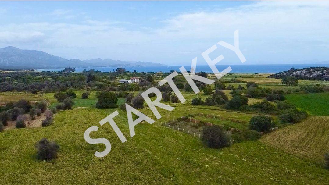 Datça Kızlan'da Satılık Deniz Manzaralı Tarla — kare 3
