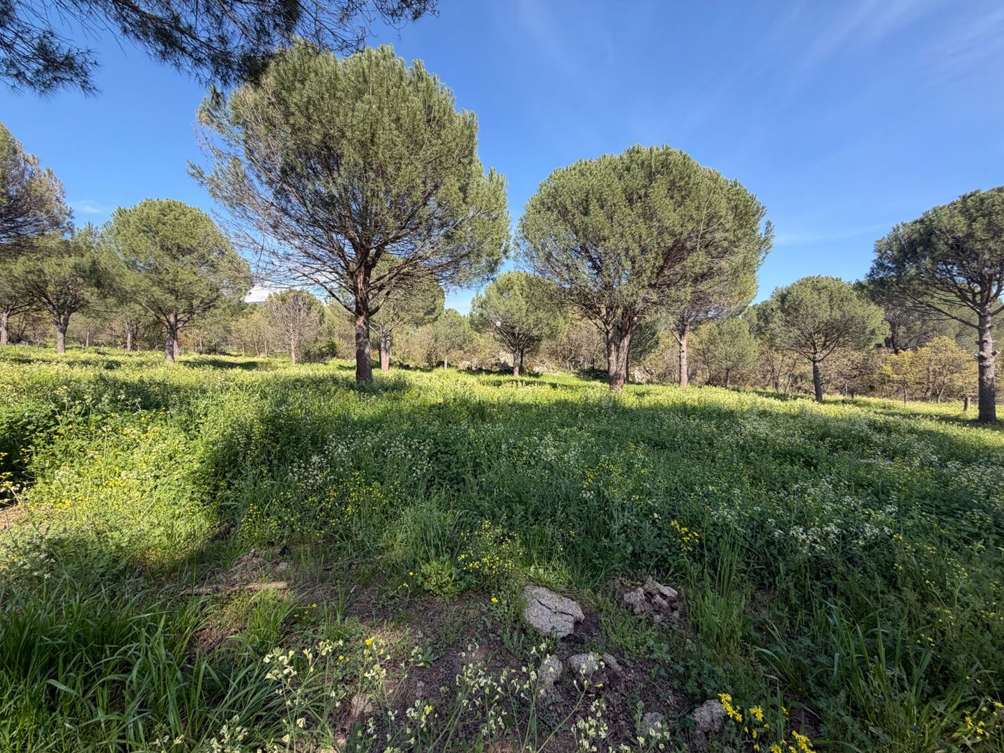 Property-photo