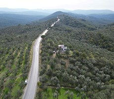 ALTIN EMLAKTAN BAĞYÜZÜNDE 4024 M2 ZEYTİNLİK İÇİNDE MÜSTAKİL EV
