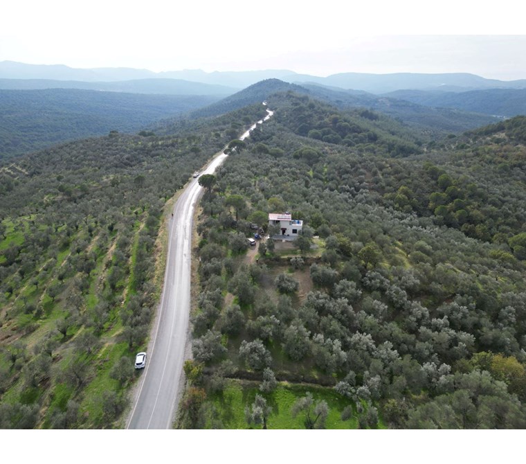 ALTIN EMLAKTAN BAĞYÜZÜNDE 4024 M2 ZEYTİNLİK İÇİNDE MÜSTAKİL EV