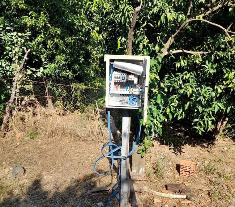 köyceğiz yangıda satılık 3206 m2 tarla
