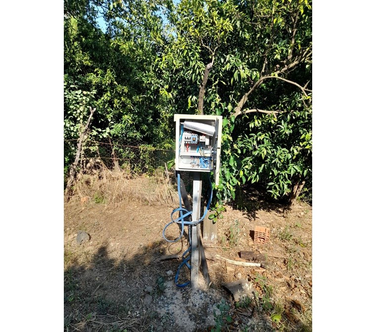 köyceğiz yangıda satılık 3206 m2 tarla