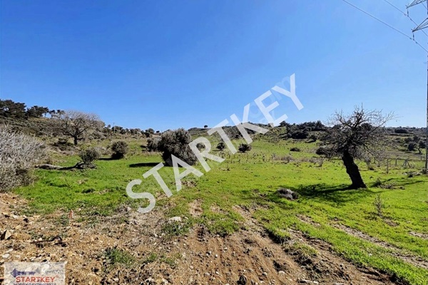 Property-photo