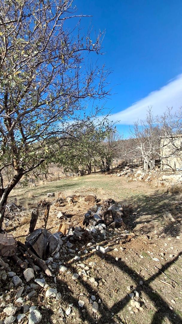 Property-photo