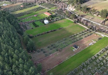 Milas Karacahisar Su Çıkan'da Doğayla İç İçe Satılık Tarla
