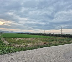 Aliağa Çaltılıdere'de Yatek Komşusu Denize Yakın Satılık Tarla