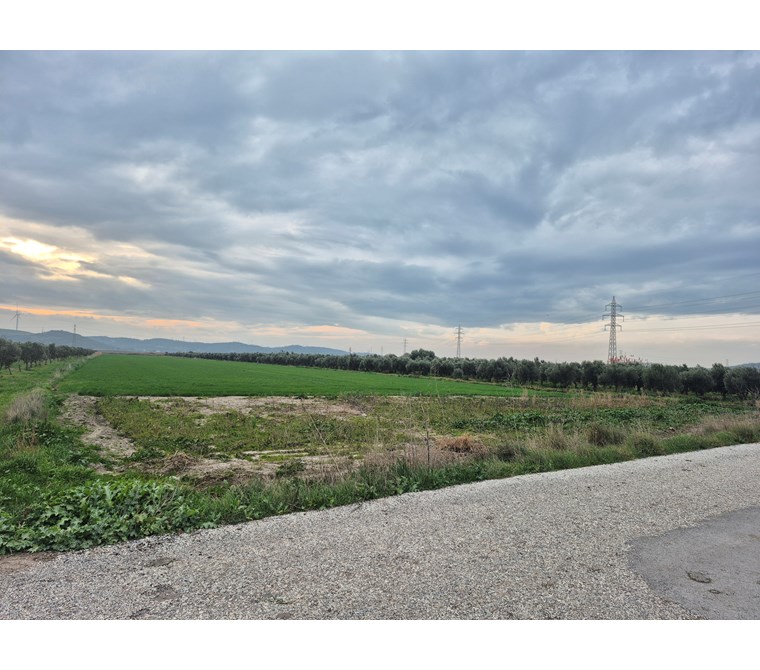 Aliağa Çaltılıdere'de Yatek Komşusu Denize Yakın Satılık Tarla