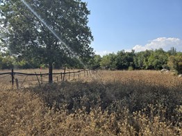 Erdemli Esenpınar Merkezde 900 m2 Yatırımlık Tarla