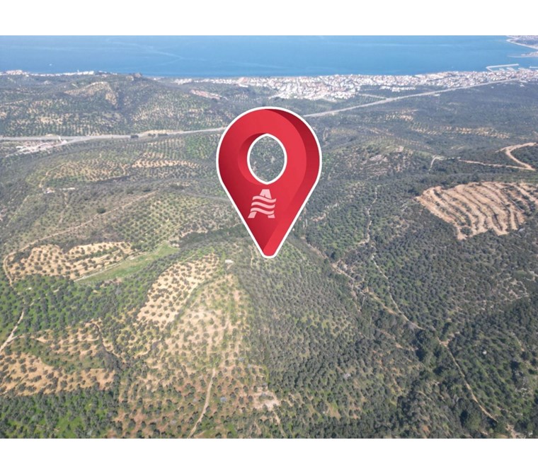 ALTIN EMLAKTAN BURHANİYE PELİTKÖYDE SATILIK 5137 M2 ZEYTİNLİK