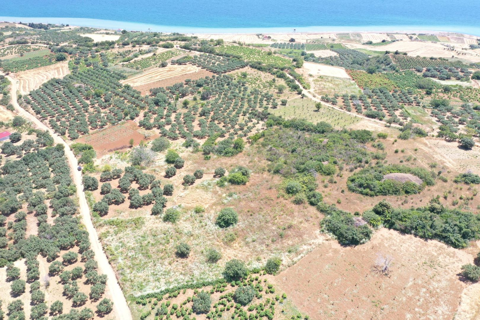 Property-photo