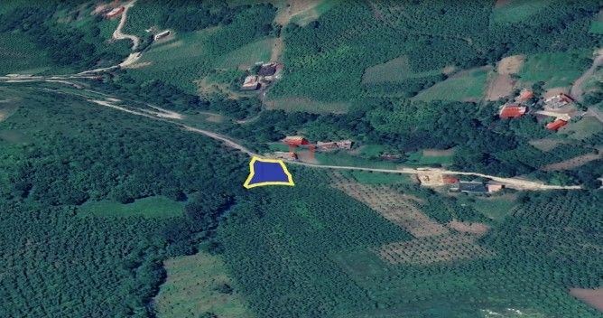 TRABZON AKÇAABAT AMBARCIK MAHELLESİNDE 905 M2 SATILIK FINDIK BAHÇESİ