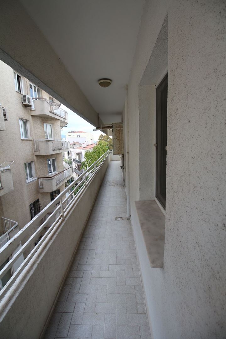20645405