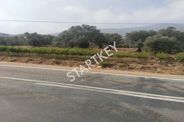 Property-photo