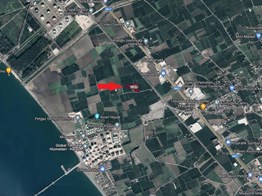 HATAY DÖRTYOL YEŞİLKÖY'DE SATILIK BAHÇE P222551