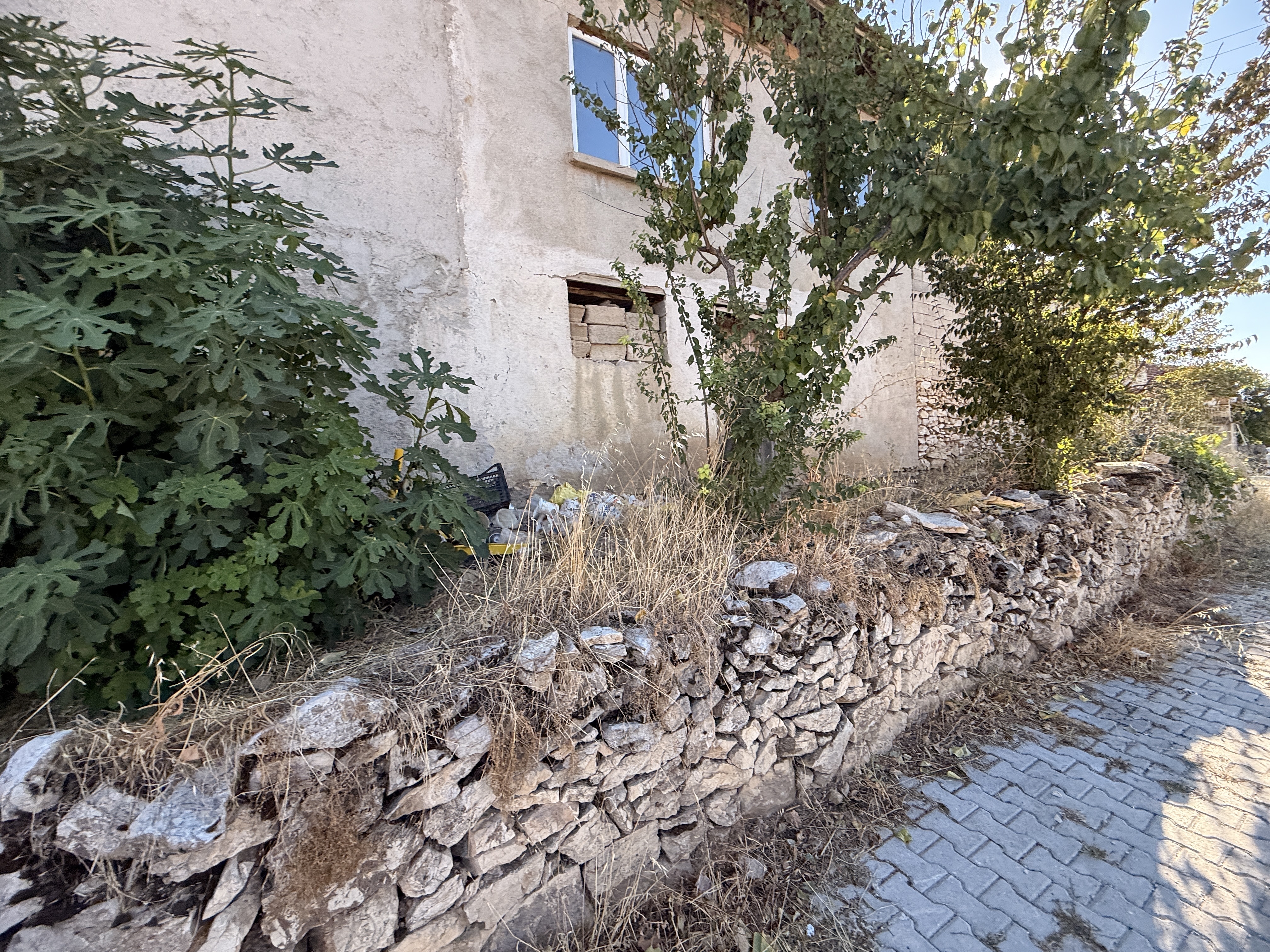 Property-photo